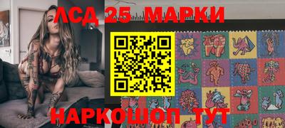 прущие грибы Дубна