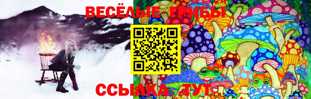 Галлюциногенные грибы ЛСД  Вход с VPN  наркота  Галлюциногенные грибы Cubensis  Мурино 